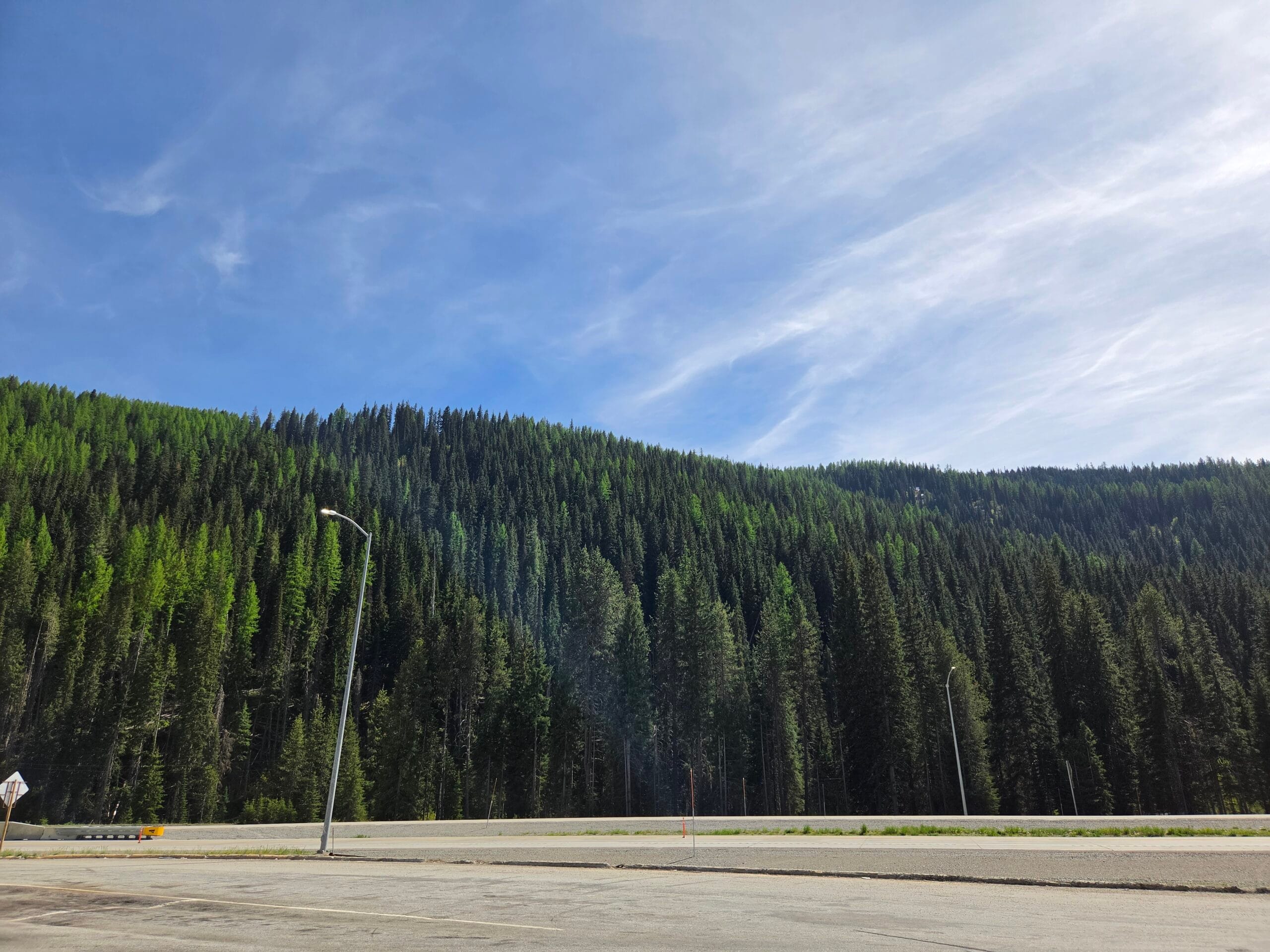 Picture of treeline at a rest stop in wyoming
