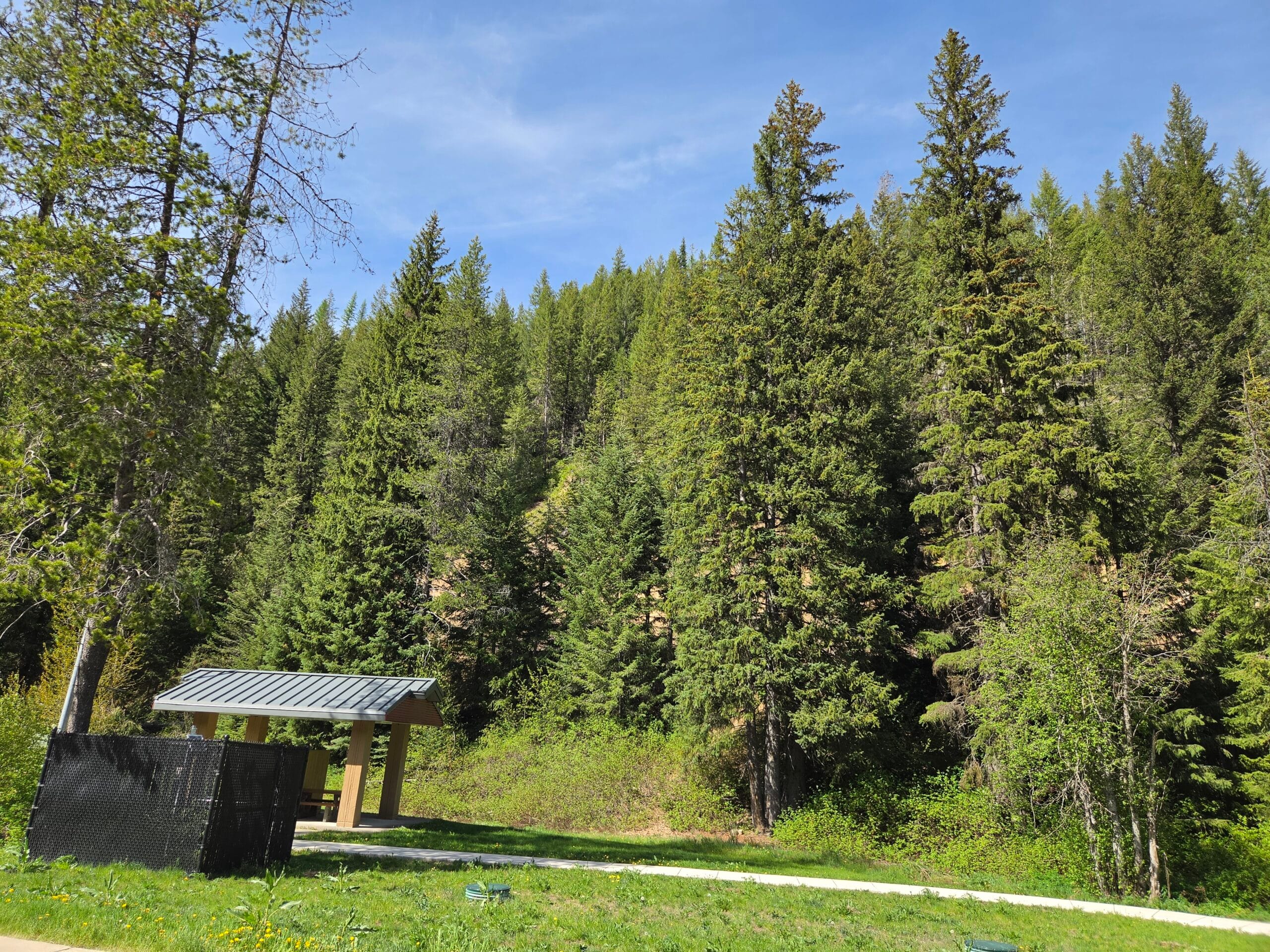 Picture of Treeline at a rest stop